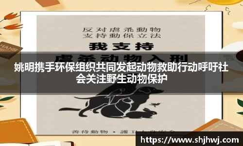 必一运动bsports