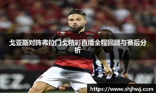 戈亚斯对阵弗拉门戈精彩直播全程回顾与赛后分析