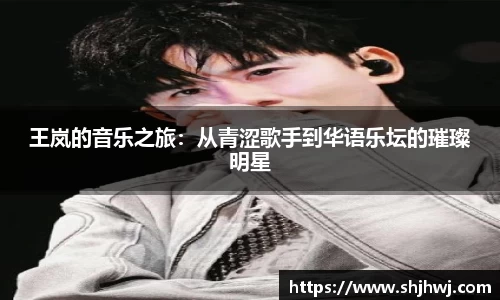 王岚的音乐之旅：从青涩歌手到华语乐坛的璀璨明星