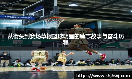 bsports必一运动官网
